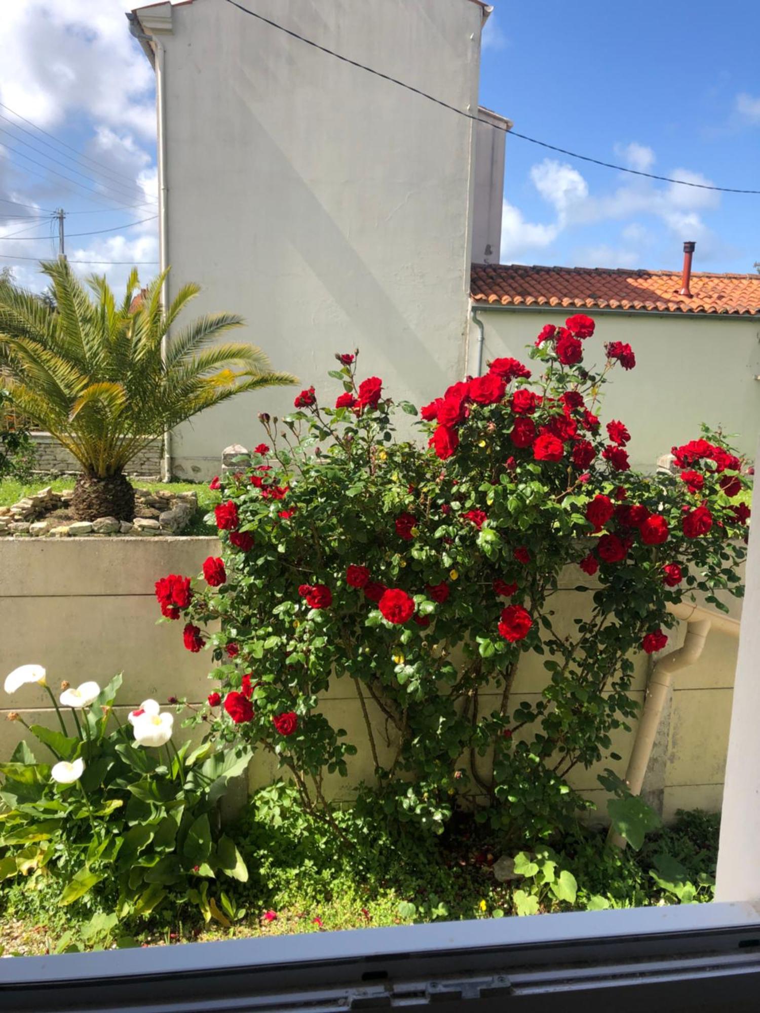 La Sirene Apartman Grand-Village-Plage Kültér fotó